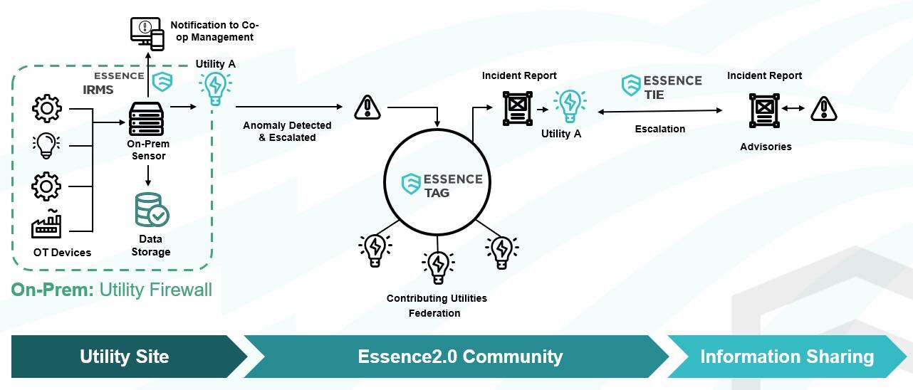 Image Title: Essence Ecosystem
